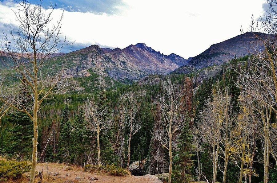 From Denver: Guided Hike in Rocky Mountain National Park - Meeting at Union Station and Leaving Denver