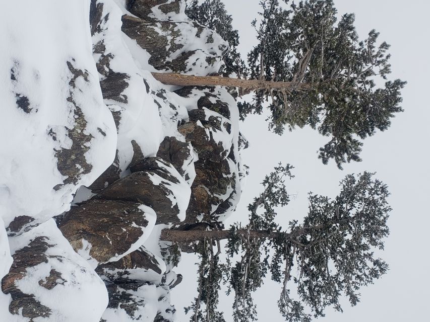 From Denver: Rocky Mountain National Park Winter/Spring Tour - The Stanley Hotel and local history