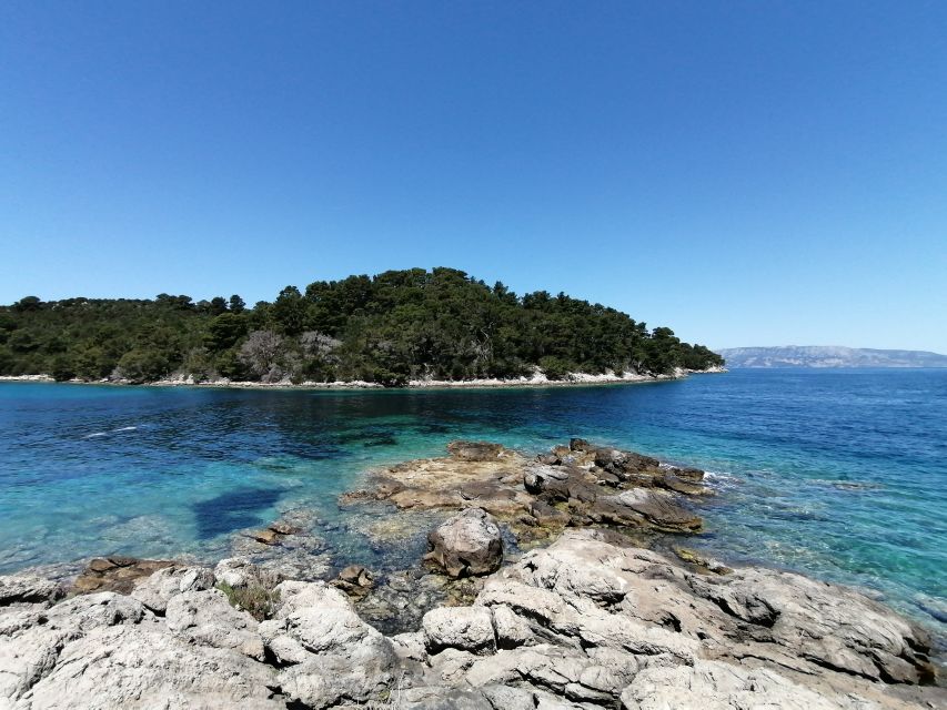From Dubrovnik: Mljet National Park & Elaphiti Islands Trip - Who should book this day trip?