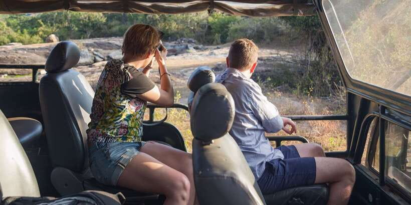 From Ella: Yala National Park Jeep Safari Tour - Water holes, peacocks, and birdwatching