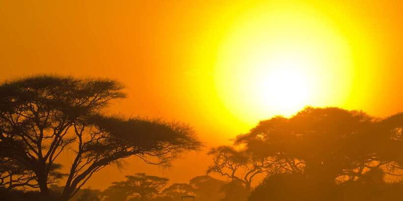 From Ella: Yala National Park Safari Tour in a 4x4 - The long morning from Ella to Yala