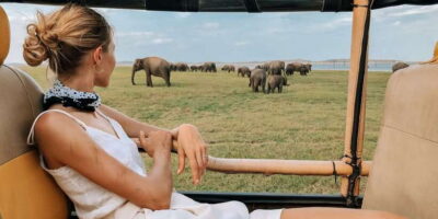 Yala National Park Safari Tour in a 4×4