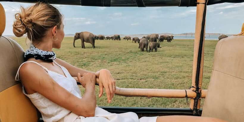 From Ella: Yala National Park Safari Tour in a 4x4 - Entering Yala at the golden hour