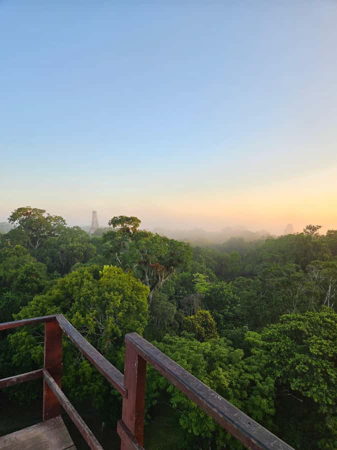 From Flores: Tikal National Park All Inclusive - Key details before you book