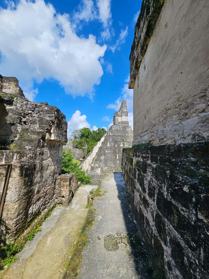 From Flores: Tikal National Park All Inclusive - Starting at Flores or Mundo Maya Airport