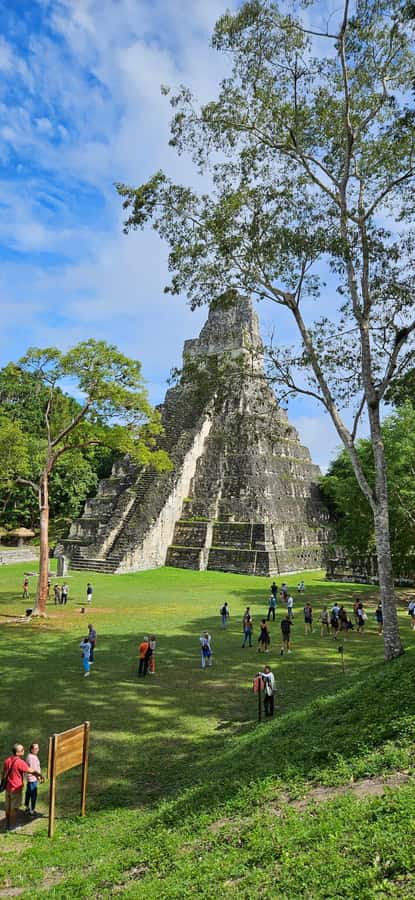 From Flores: Tikal National Park All Inclusive - Entering Tikal for a 3.5-hour guided visit