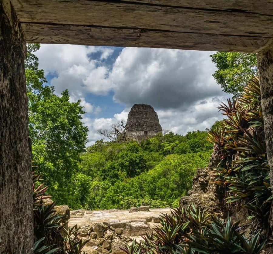 From Flores: Tikal National Park Private Day Trip with Lunch - Lost World and the climb up Temple V