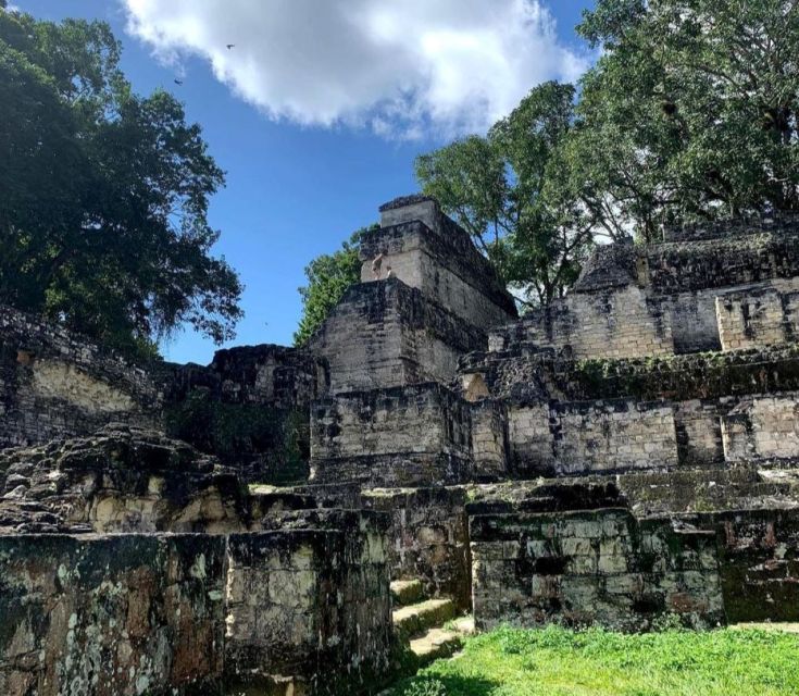From Flores: Tikal National Park Private Day Trip with Lunch - Returning to Flores or the airport