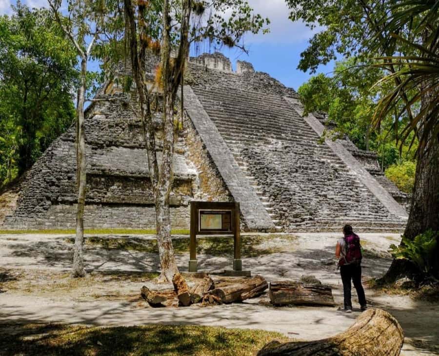 From Flores: Tikal National Park Private Day Trip with Lunch - The Central Plaza and Temple I