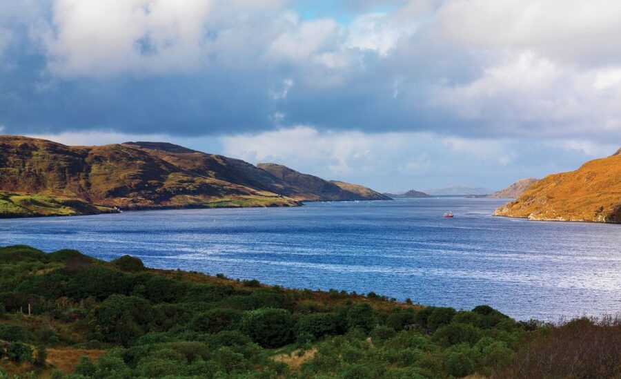 From Galway: Connemara National Park Full Day Tour - Guide quality and the feel of the bus ride