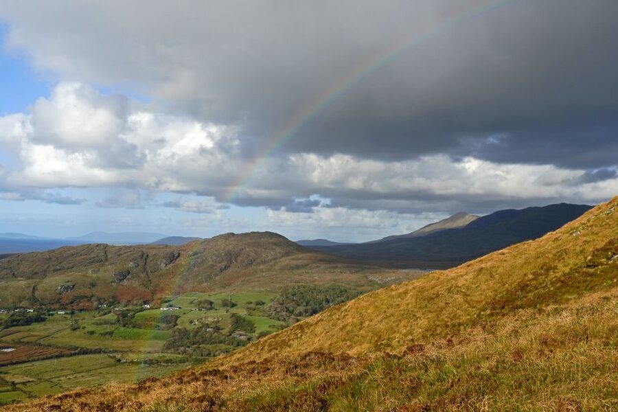 From Galway: Connemara National Park Full Day Tour - Who should book this Connemara tour?