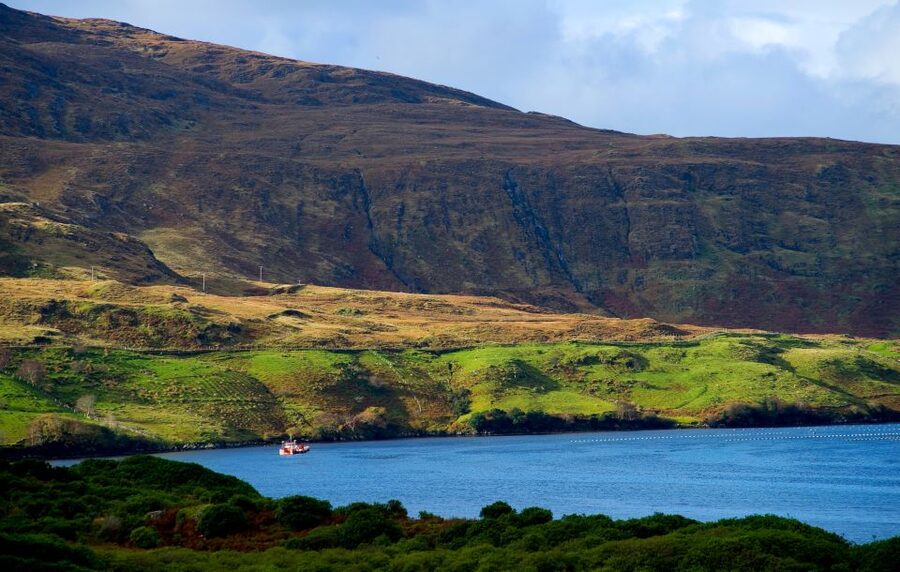From Galway: Connemara National Park Full Day Tour - Small details that will improve your day