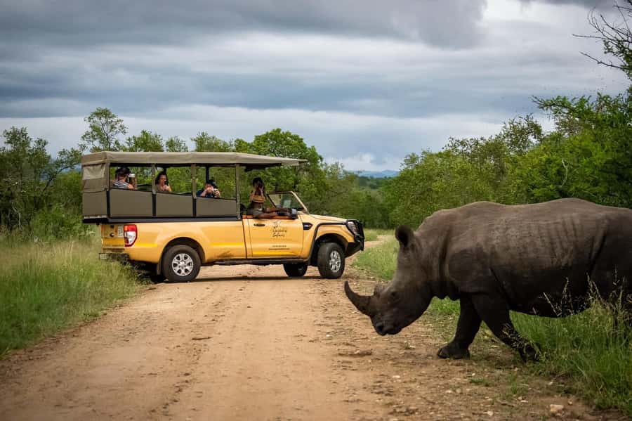 From Hazyview: Kruger National Park Full-Day Safari - Why the pre-dawn start matters