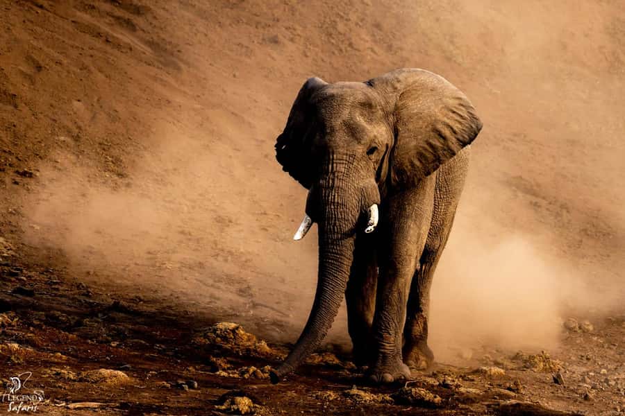 From Hazyview: Kruger National Park Full-Day Safari - Entering Kruger through Phabeni Gate