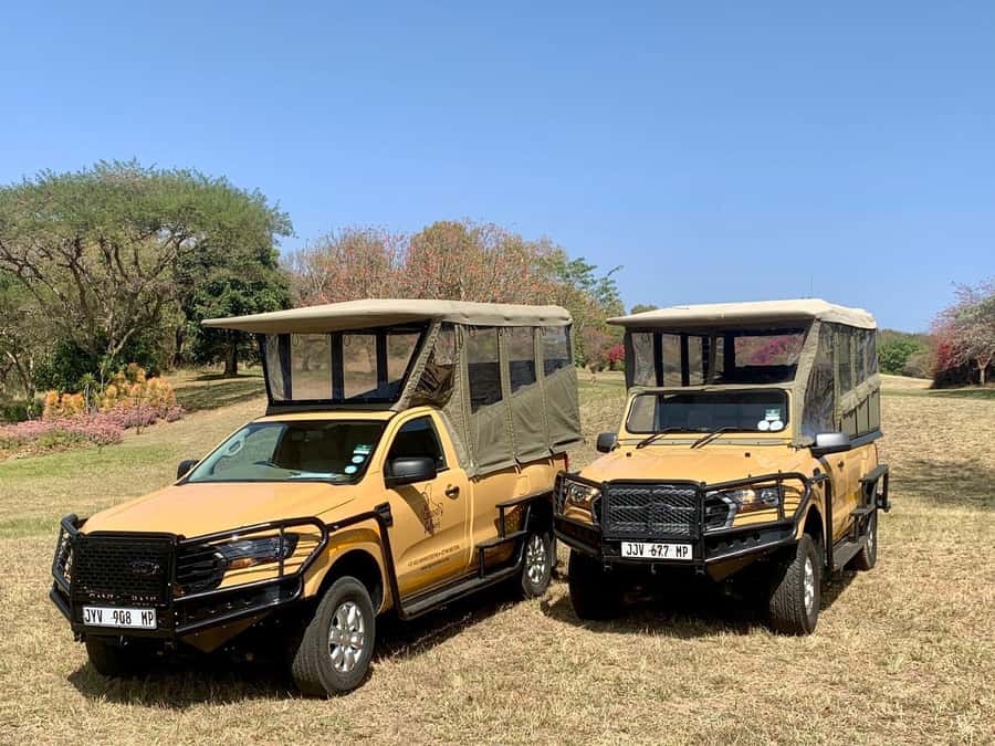 From Hazyview: Kruger National Park Full-Day Safari - Breakfast after the first wildlife search