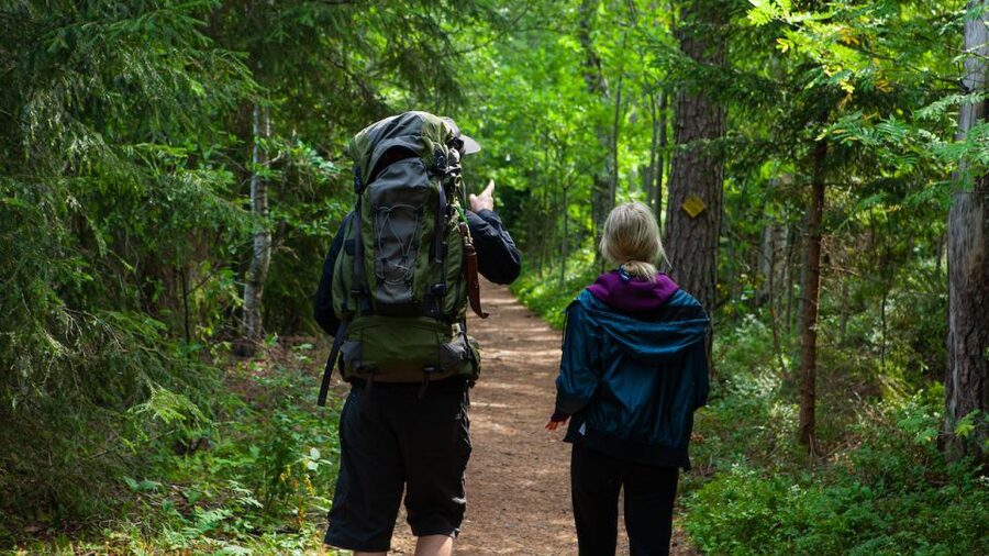 From Helsinki: Berry Picking Day Trip in a National Park - Key points to know before booking