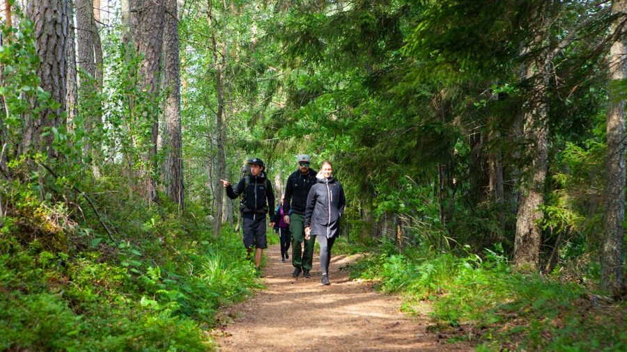 From Helsinki: Berry Picking Day Trip in a National Park - Meeting the Taiga Times van at Kiasma