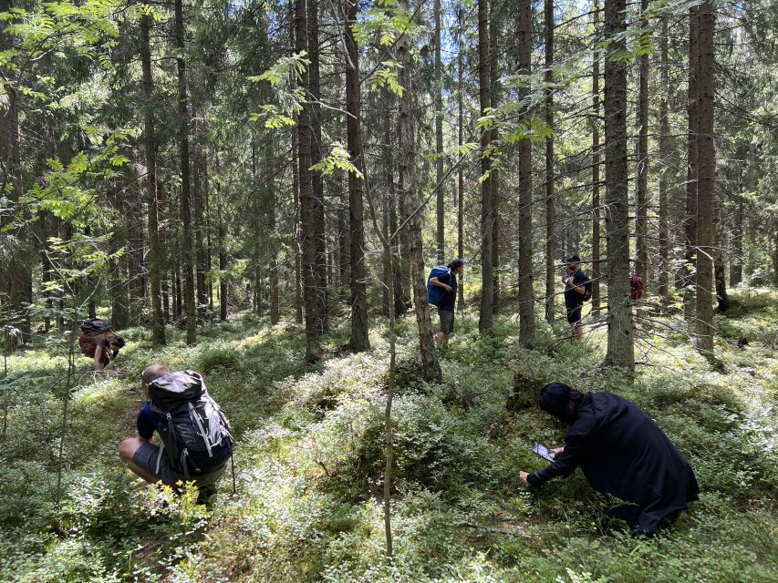 From Helsinki: Hike and Sauna in Sipoonkorpi National Park - From Kiasma to the quiet woods