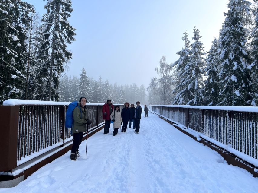 From Helsinki: Hike and Sauna in Sipoonkorpi National Park - The guides make the day feel personal