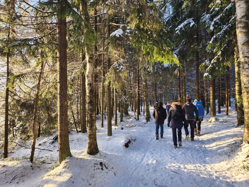 From Helsinki: Hike and Sauna in Sipoonkorpi National Park - Seasonal conditions and what to pack