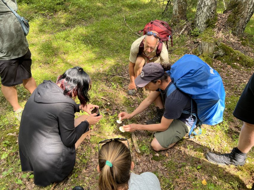 From Helsinki: Hike and Sauna in Sipoonkorpi National Park - Who will enjoy this Helsinki day trip?