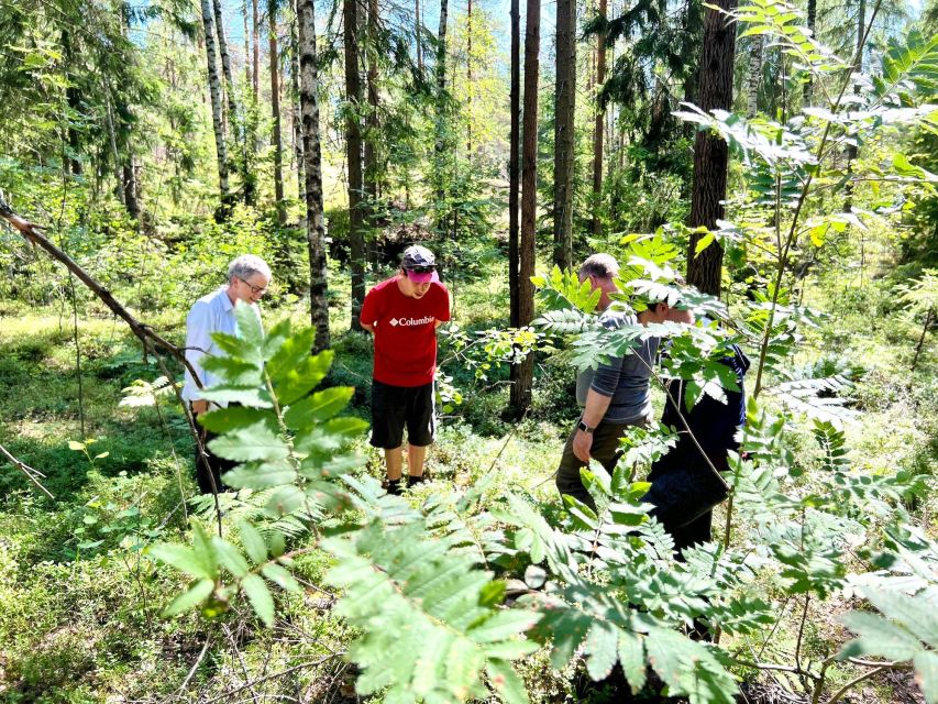 From Helsinki: Hike and Sauna in Sipoonkorpi National Park - Walking 6 kilometers through Sipoonkorpi