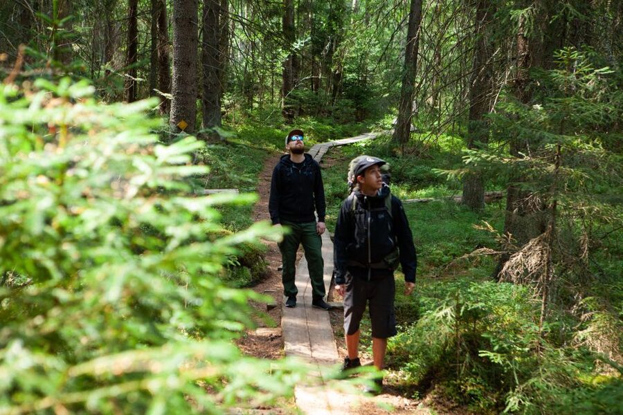 From Helsinki: Magical Taiga Hike in Liesjärvi National Park - From Helsinki streets to Liesjärvi forest