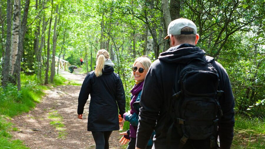 From Helsinki: Magical Taiga Hike in Liesjärvi National Park - A lakeside lunch with salmon soup