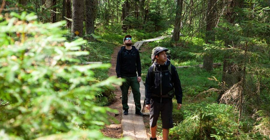 From Helsinki: Magical Taiga Hike in Liesjärvi National Park - The final hour through Liesjärvi