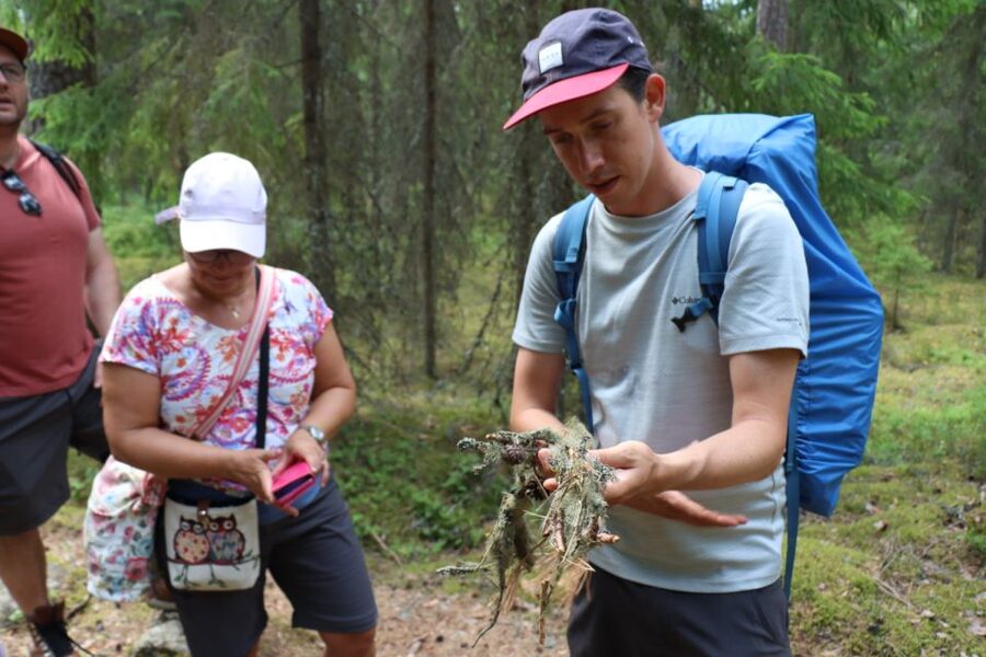 From Helsinki: Magical Taiga Hike in Liesjärvi National Park - What the $182 price really covers