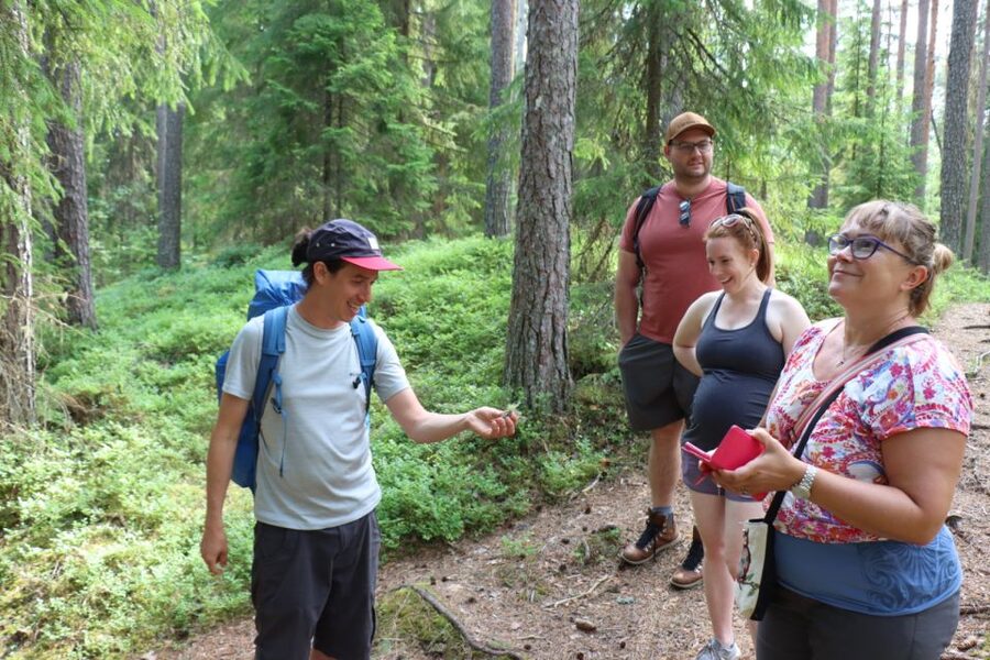 From Helsinki: Mushroom Hunting Tour in a National Park - FAQ