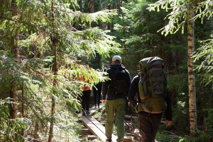 From Helsinki: Mushroom Hunting Tour in a National Park - Searching for chanterelles in the national park