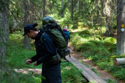 From Helsinki: Mushroom Hunting Tour in a National Park