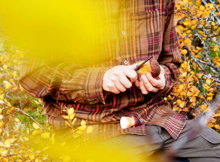 From Helsinki: Mushroom Hunting Tour in a National Park - What the seven-hour schedule feels like