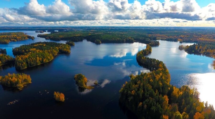 From Helsinki: Mushroom Hunting Tour in a National Park - Responsible foraging, not just mushroom collecting