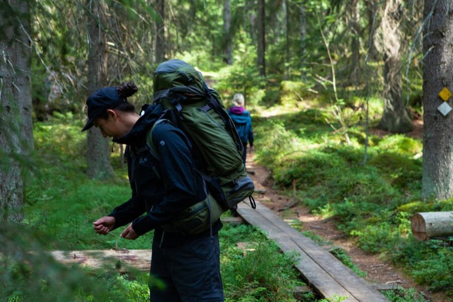 From Helsinki: Mushroom Hunting Tour in a National Park - Learning what is safe to eat