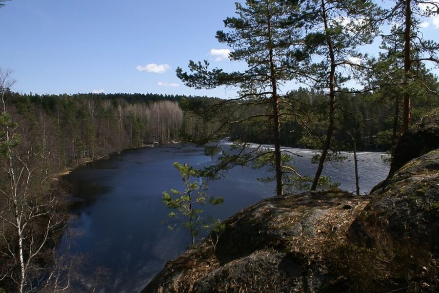 From Helsinki: Nuuksio National Park Half-Day Trip - Key points to know before booking
