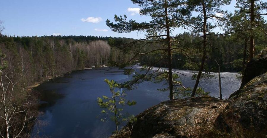 From Helsinki: Nuuksio National Park Half-Day Trip - Meeting near the railway station