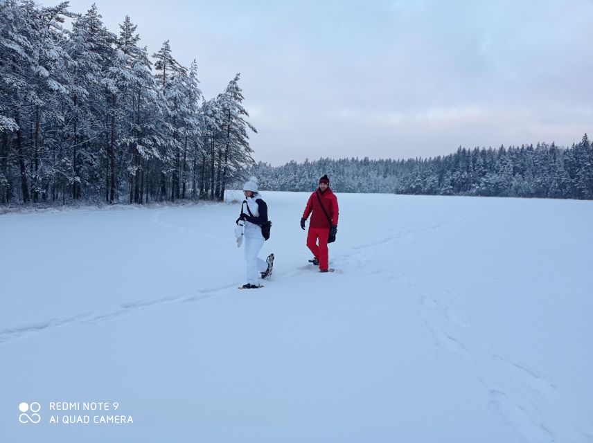 From Helsinki: Nuuksio National Park Hiking Tour with Food - Winter in the Taiga