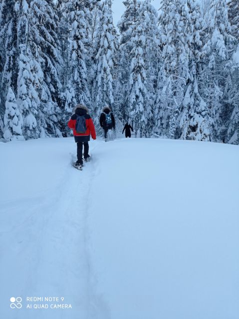 From Helsinki: Nuuksio National Park Hiking Tour with Food - Who should book this walk