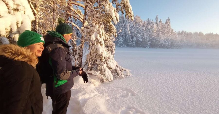 From Helsinki: Nuuksio National Park Hiking Tour with Food - Walking the trails of Nuuksio National Park