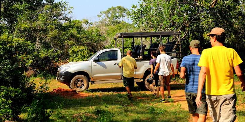 From Hikkaduwa: Udawalawe National Park Safari Tour - Key points to know before booking