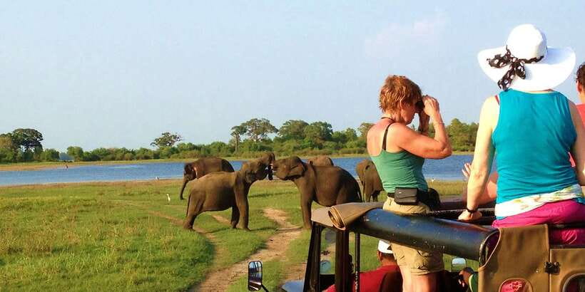 From Hikkaduwa: Udawalawe National Park Safari Tour - Three hours in the safari jeep