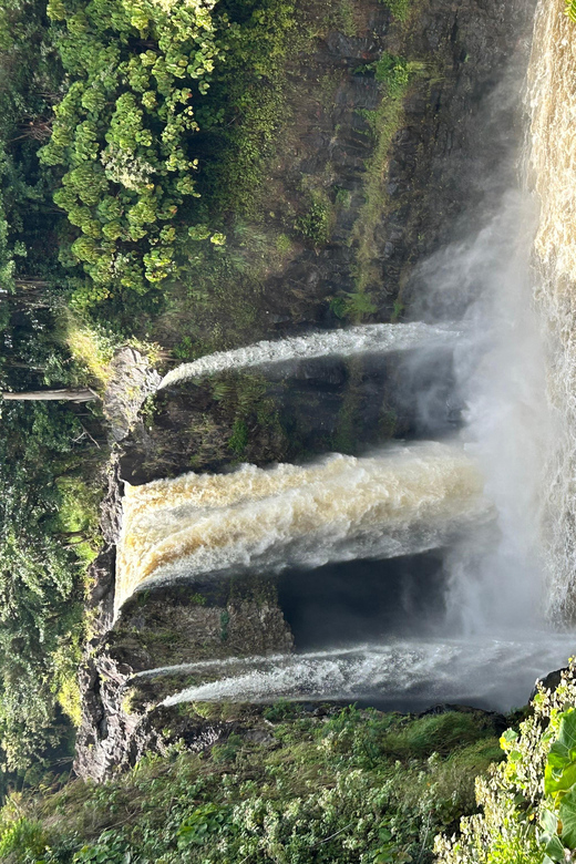 From Hilo: Hawaii Volcanoes National Park Tour - Entering Hawaii Volcanoes National Park