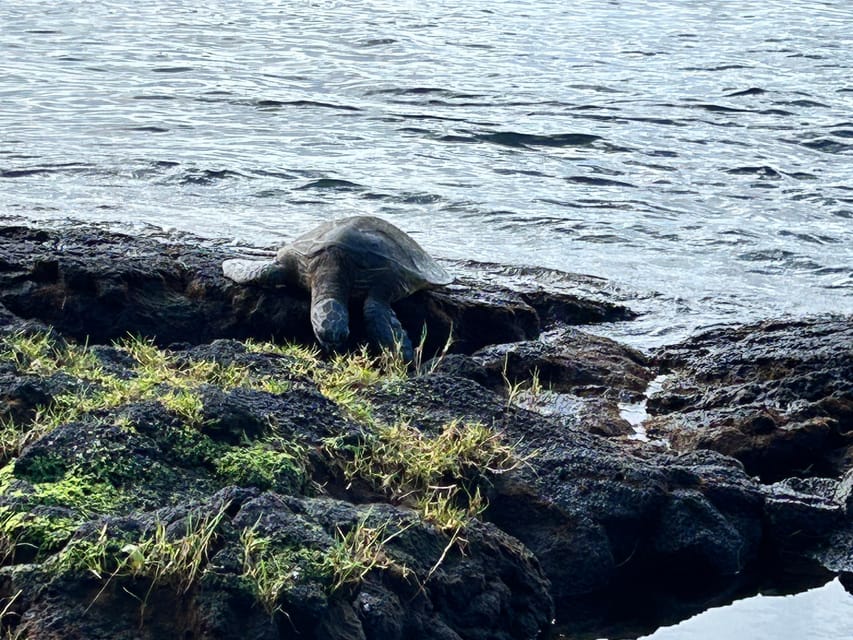 From Hilo: Hawaii Volcanoes National Park Tour - Is $175 a fair price?