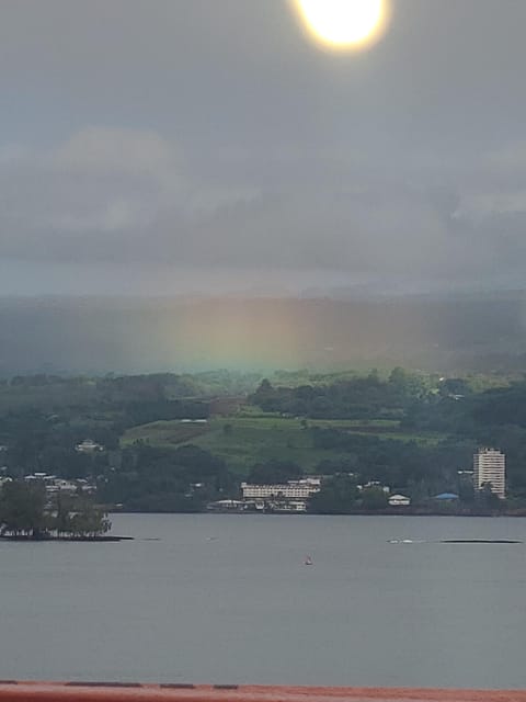 From Hilo: Hawaii Volcanoes National Park Tour - Hilo’s banyan trees, gardens, and royal story