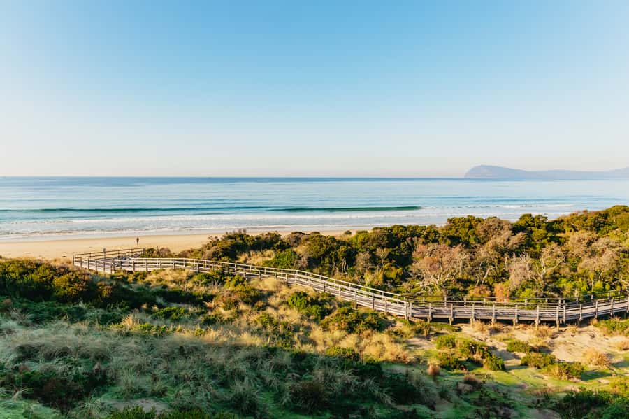 From Hobart/Adventure Bay: Bruny Island Wilderness Cruise - Small details that improve the day