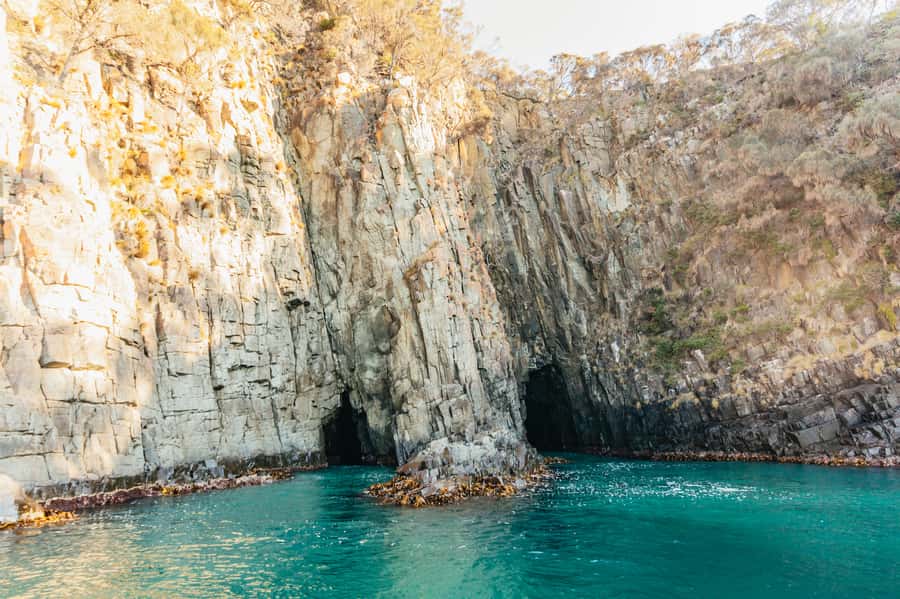 From Hobart/Adventure Bay: Bruny Island Wilderness Cruise - Why the southern Bruny coast is worth your time