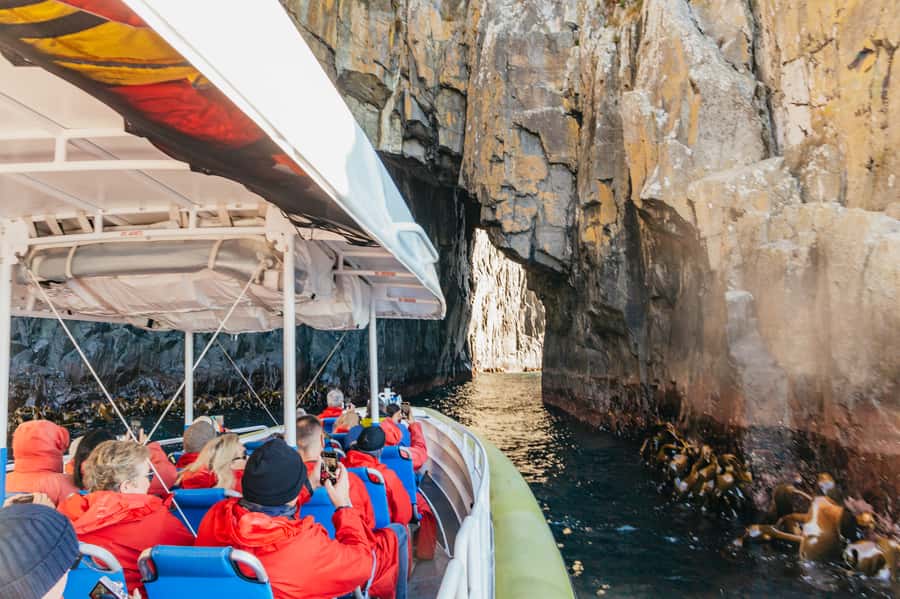 From Hobart/Adventure Bay: Bruny Island Wilderness Cruise - The boat ride: thrilling rather than gentle