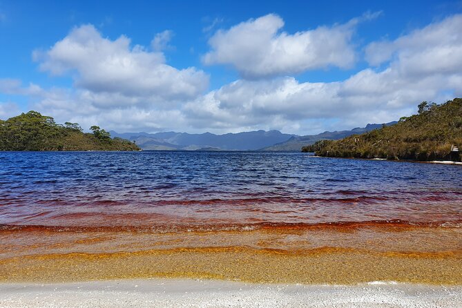 From Hobart: Gordon Dam and Lake Pedder Wilderness Day Tour - Creepy Crawly Walk and the temperate rainforest